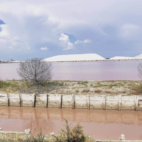 Salinas de Aigues Mortes